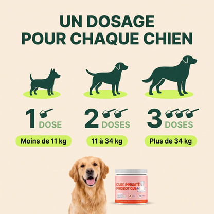 Cure Immunité Probiotique+