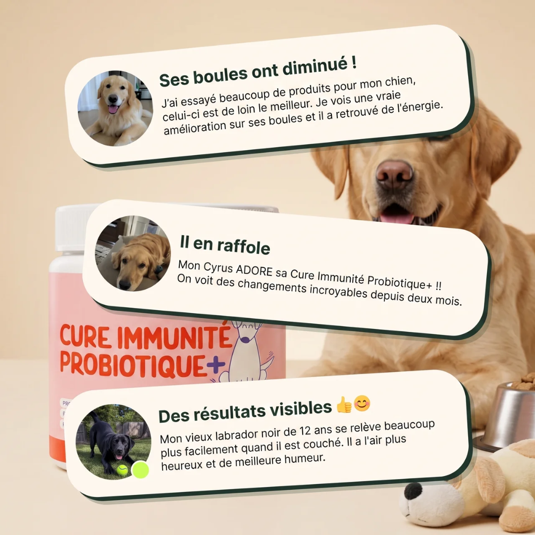 Cure Immunité Probiotique+