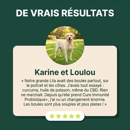 Cure Immunité Probiotique+