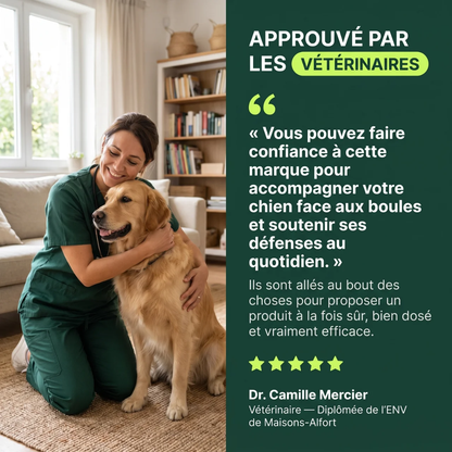Cure Immunité Probiotique+