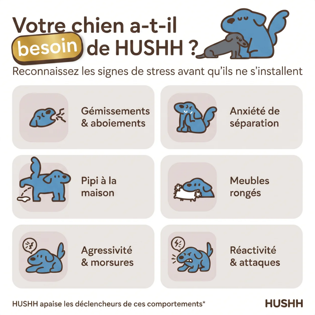 DIFFUSEUR APAISANT POUR CHIEN