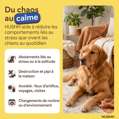 DIFFUSEUR APAISANT POUR CHIEN