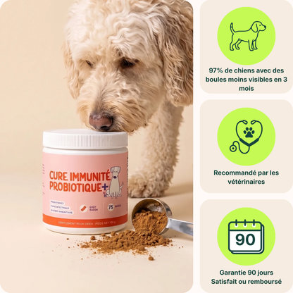 Cure Immunité Probiotique+